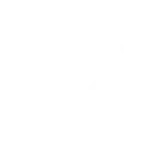White logo of Fall Damage, client of NOG Studio.